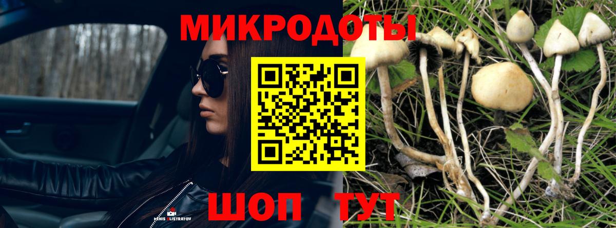 Краснотурьинск  Галлюциногенные грибы Magic Shrooms  Вход с VPN 